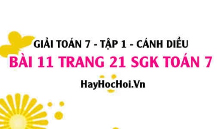 Giải bài 11 trang 21 Toán 7 Tập 1 SGK Cánh Diều